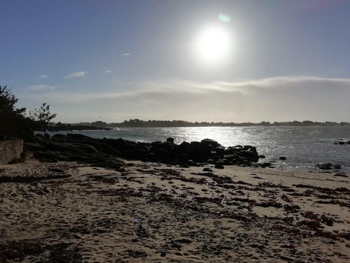 Les Roches Du Cabellou 150M De La Mer Villa Concarneau Buitenkant foto