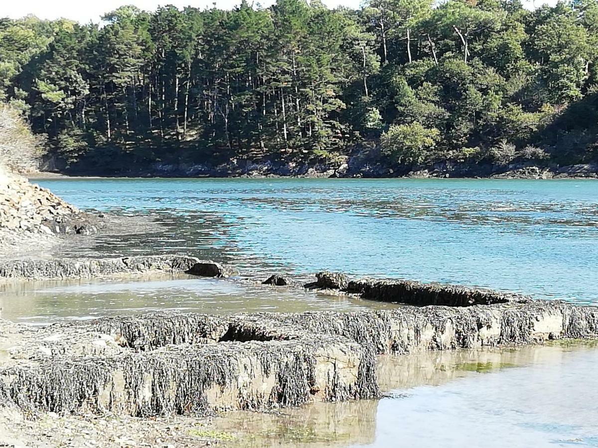 Les Roches Du Cabellou 150M De La Mer Villa Concarneau Buitenkant foto